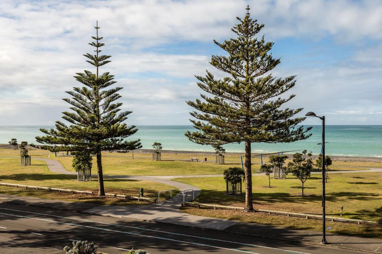 Pebble Beach Motor Inn Napier Extérieur photo Araucaria columnar